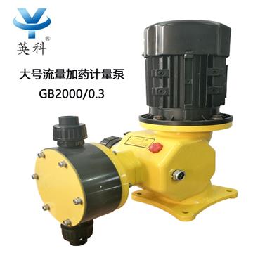 GB2000/0.3双隔膜计量泵